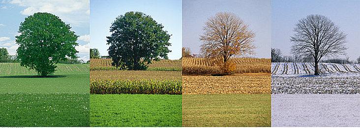 《特殊行动：一线生机》导演恐怖新作《Sleep Awake》公开